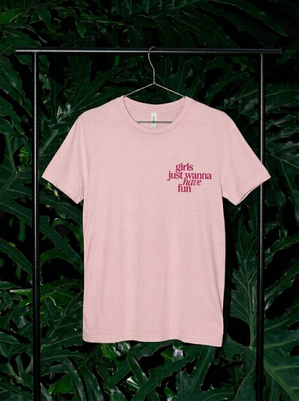 Girls Just Wanna Have Fun
